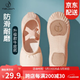 铁箭（TIEJIAN）舞蹈鞋女童免系带软底芭蕾猫爪成人儿童练功形体鞋中国舞鞋大码男 肉色 37/22.5cm