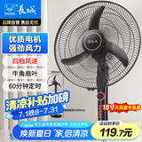 长城（CHANGCHENG）电风扇落地扇18吋商用风扇家用大风量摇头电扇居家办公立式风扇交流定频风扇FS-45(302)II