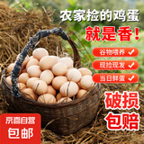 京喜加土鸡蛋 新鲜鸡蛋山林自养 生鲜溏心蛋 卤蛋早餐京东买菜40g正负5g 鸡蛋6枚装240g+【活动专属】