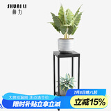 帅力铁艺花架 阳台户外花盆架子双层置物架绿萝盆景架SL8227Z黑