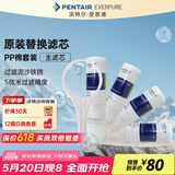 爱惠浦（Everpure） PP棉滤芯4支10吋/5微米加扳手 净水机通用滤芯