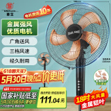 华生（Wahson）电风扇落地扇金属铝叶风扇立式大风量电扇工业扇18吋低噪省电家用宿舍办公交流定频风扇 FS-D1805