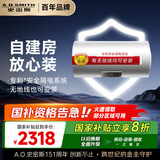 史密斯（A.O.SMITH）80升电热水器 国家补贴 无地线可安装 安全隔电 金圭内胆 速热节能 一键中温保温E80VDS 