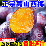庾丰 当季新疆女神西梅 新鲜水果整箱 孕妇陕西蓝蜜法兰西梅李 5斤装（净果4.5斤）单果19.99g+ 颗颗甄选 产地直发