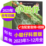 小聪仔科普版杂志2025年1-12月【全年/半年订阅/2024/2023年1-12月/幼儿版启蒙版可选】0-4-8岁婴儿幼儿兴趣智力培养儿童科普画报非过刊K 现货【全年珍藏】科普版23年1-12月