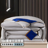 水星家纺A类出口蚕丝被100桑蚕丝全棉被芯双人加厚保暖冬被子 A类蚕丝被-欢朋灰 180x220cm-6斤