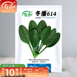 寿禾 大叶小叶菠菜种子大全波菜种蔬莱耐寒蔬菜四季播寿光夏秋菜籽 （冬）寿禾冬播614菠菜种子 300g
