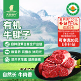 天莱香牛新疆有机牛腱子肉1斤谷饲排酸烧烤食材国产牛肉生鲜【真原切】