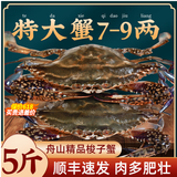 梭子蟹鲜活特大野生舟山大螃蟹海鲜新鲜冷冻海蟹水产飞蟹白蟹顺丰 5-7两/只 【净重4斤大号梭子蟹】
