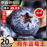 寻良万亩蓝宝级·丹东花香蓝莓【JD/顺丰-多地次日达】新鲜水果送礼物盒 125g*12盒【蕞划算】丨净100g 大果18mm+丨甜