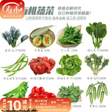寿禾 20天鸡毛菜种子四季小青菜夏秋蔬菜小白菜油菜上海青阳台菜籽 12种蔬菜种子套餐+工具+2包肥