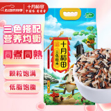 十月稻田 三色糙米 2.5kg 糙米 黑米 五谷杂粮 粗粮 大米伴侣 真空 5斤