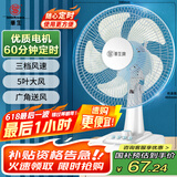 华生（Wahson）电风扇/台扇/低音风扇/大风量家用电扇/空调伴侣交流定频风扇 WS-A1201
