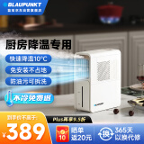 蓝宝（BLAUPUNKT）【厨房降温】冰雾扇电风扇家用空调扇加湿水冷风扇冷风机制冷小空调扇无需冰晶 节能低噪可拆洗 X5