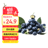 京鲜生 国产蓝莓 4盒 14mm+装125g/盒 生鲜水果 源头直发 包邮