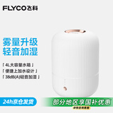 飞科（FLYCO）加湿器卧室空气桌面加湿器婴儿孕妇小型家用加湿器落地智能办公室客厅轻音 FH9212【4L白色】