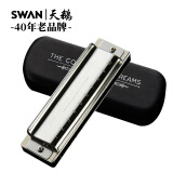 天鹅（SWAN）追梦人口琴10孔布鲁斯爱尔兰paddy音阶高级专业演奏(银色）