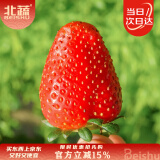 北蔬 红草莓种子种苗四季盆栽阳台室内庭院水果籽 奶油草莓种子1000粒