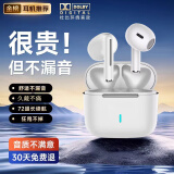 XVVMI【2025最新款柏林之声】适配无线蓝牙耳机华强北半入耳式听歌通话游戏智能降噪运动超长续航 雪域白