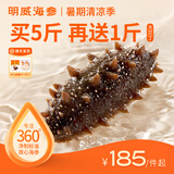 明威海参 鲜食即食海参刺参 鲜活加工独立包装单个装开袋即食冷冻海鲜礼盒 10-12头（1斤 ）