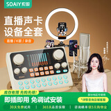 索爱（soaiy）直播设备全套装 手机声卡唱歌专用抖音网红主播户外K歌录音麦克风话筒支架专业外置 S6+SC9+灯