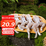 芮宝农场鲜活现杀免处理去皮单冻牛蛙肉300g烧烤牛蛙 海鲜水产