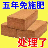 椰砖直销通用型椰土无盐椰糠土养花种菜椰糠土种植椰砖土 精选大砖一块【明天恢复原价8.8元】 活动价/超划算/不买后悔