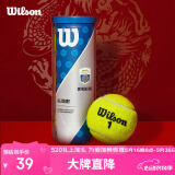Wilson威尔胜大师赛通用网球比赛3只一罐【球面数字随机】 WR8208802001