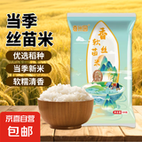 当季新米软香丝苗米晚稻籼米长粒香大米猫牙米煲仔饭米晚稻米 丝苗米1.5KG