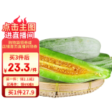 京鲜生 羊角蜜甜瓜 3斤 单果400g起 生鲜水果