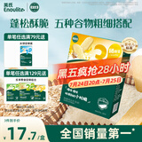 英氏（Engnice）婴幼儿松脆米饼香蕉椰奶味 婴儿宝宝零食磨牙饼干米饼45.6g