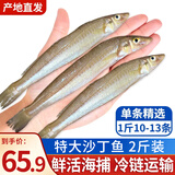 朵芙海捕沙丁鱼 3斤 海鱼活冻沙尖沙钻冷冻 烧烤海鲜水产鱼类 2斤【14-18cm】无冰净重