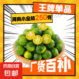 海南青金桔新鲜小金桔 250g小果（5g-10g）