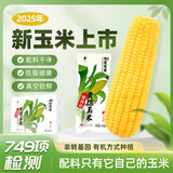 田里有草东北甜糯黄玉米非转基因低脂早餐代餐黄糯玉米粗粮真空袋装 【家庭装】黄玉米200g*12根2400g 1箱