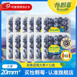 怡颗莓【新鲜优选】进口秘鲁蓝莓 新鲜蓝莓 生鲜水果 蓝莓超大果125g*12盒（20mm+）