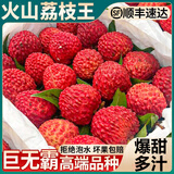 粤迎火山荔枝王【JD顺丰冷链】现摘现发新鲜水果送礼爆甜生鲜新鲜荔枝 5斤【超值装-蕞划算】净4.5斤 9A级巨无霸果王【单果30g+】