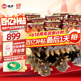 晓芹大连即食海参3斤35-50只 固形物75%  辽刺参 海鲜水产 