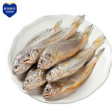 鲜到鲜得 冷冻三去小黄鱼1155g(约50条)黄花鱼 生鲜 海鲜源头直发