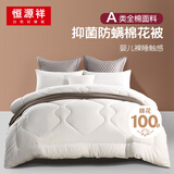 恒源祥A类抗菌 100%新疆棉花被双人加大加厚被子冬被11斤 220x240cm