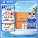 洋河 蓝色经典 海之蓝 42度 480ml*2瓶 礼盒装  浓香型白酒 