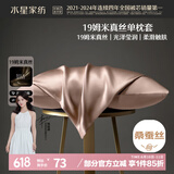 水星家纺枕套真丝枕套100%桑蚕丝枕头套19姆米真丝枕芯套单只装48x74cm粉