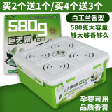 卡杰（Carq）汽车香水香熏香膏车载香水汽车香膏车用固体香盒香氛除异味香氛 580G白玉兰花香