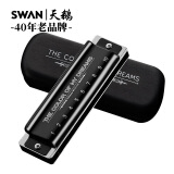 天鹅（SWAN）追梦人口琴10孔布鲁斯爱尔兰paddy音阶高级专业演奏(黑色）