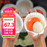 富海锦鲜汁半壳虾夷扇贝540g 6只无沙 火锅烧烤食材 海鲜水产贝类