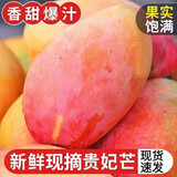 甜萌果蔬贵妃芒【现货】芒果现摘当季红金龙辣椒甜心芒海南孕妇新鲜水果 3斤精选装【单果约50g+】净重2.5斤