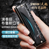 天鹅（SWAN）10孔布鲁斯口琴内嵌式磨砂黑质感盖板初学进阶