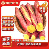 沁园秋陕西板栗红薯沙地新鲜自然熟地瓜番薯农家自种生鲜蔬菜 板栗红薯4.5-5斤大果