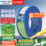 正泰（CHNT）电线铜芯电缆电源线BV1.5/2.5/4平方6平方国标纯铜家装硬电线 双色BV2.5（100米）