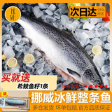 优到挪威冰鲜三文鱼刺身(大西洋鲑) 中段盒装生鱼片生鲜鱼类 年夜饭 三文鱼整条 5kg -6kg（分割发货）
