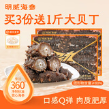明威海参即食海参 深海冷冻辽刺参 非干参 单只装 生鲜海鲜冷冻水产礼盒 1000g 1000g手提装20-30只
